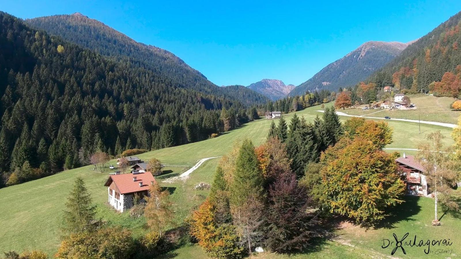 Chalet Al Maso Val Calamento Telve Extérieur photo